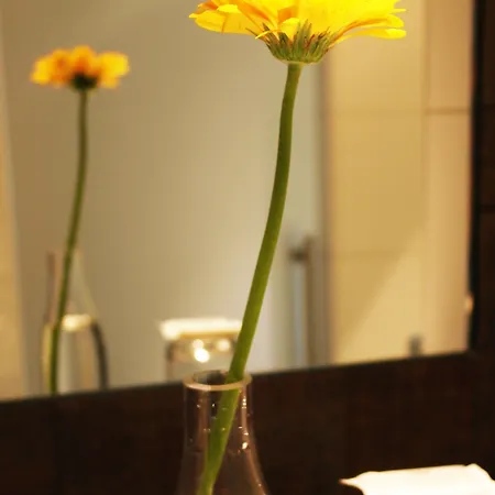 丹尼尔酒店 3* 慕尼黑